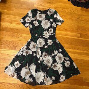 Hobbs London Floral A-line Chiffon Midi Dress